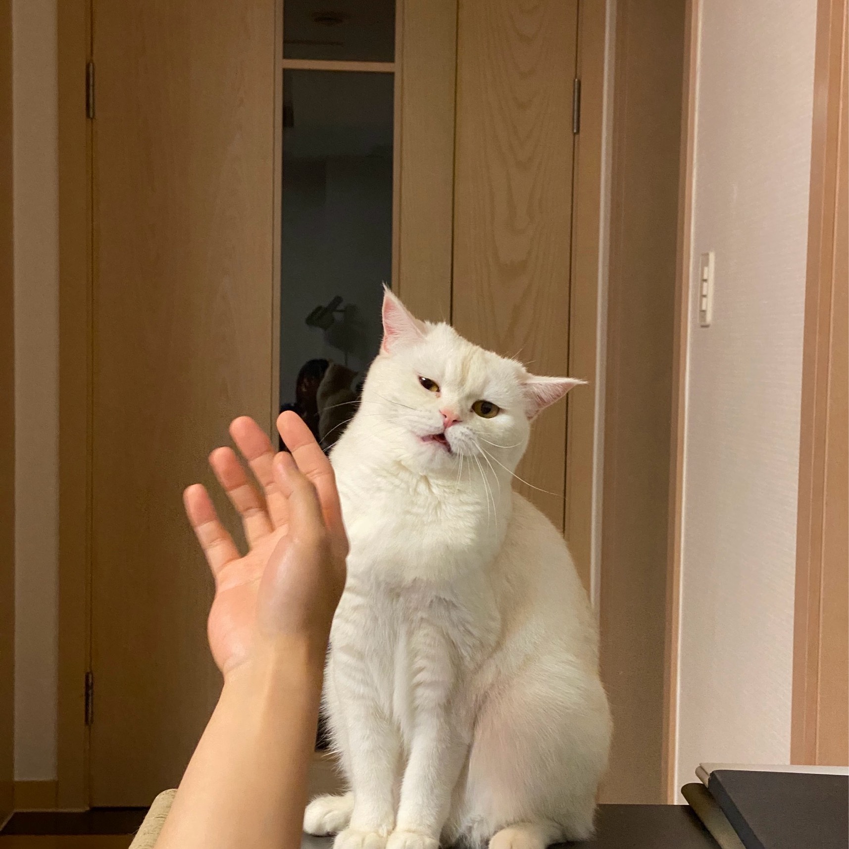 살다가한번쯤 뭐 어쩌라구요