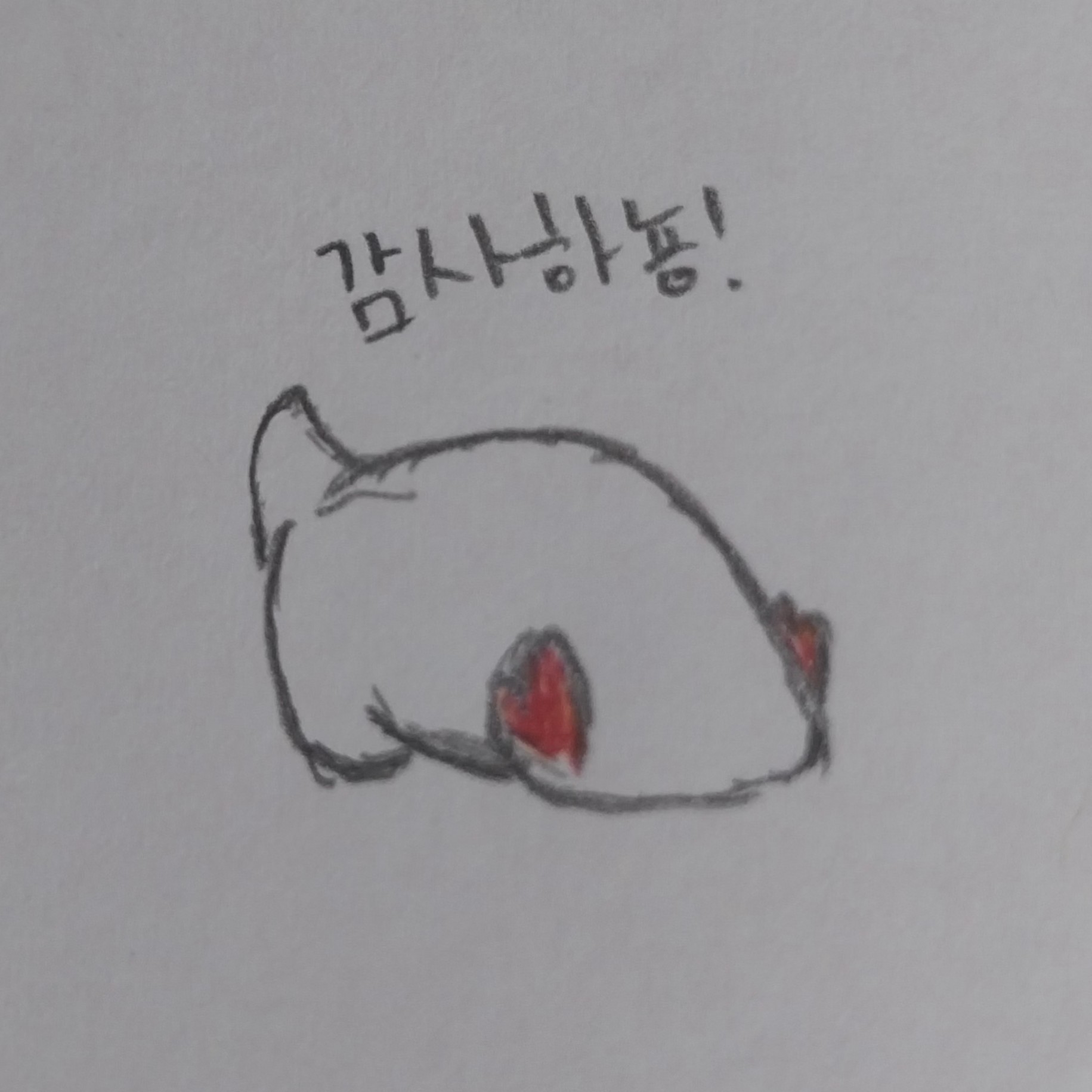 나는 반딧불(ver.황가람) 커버
