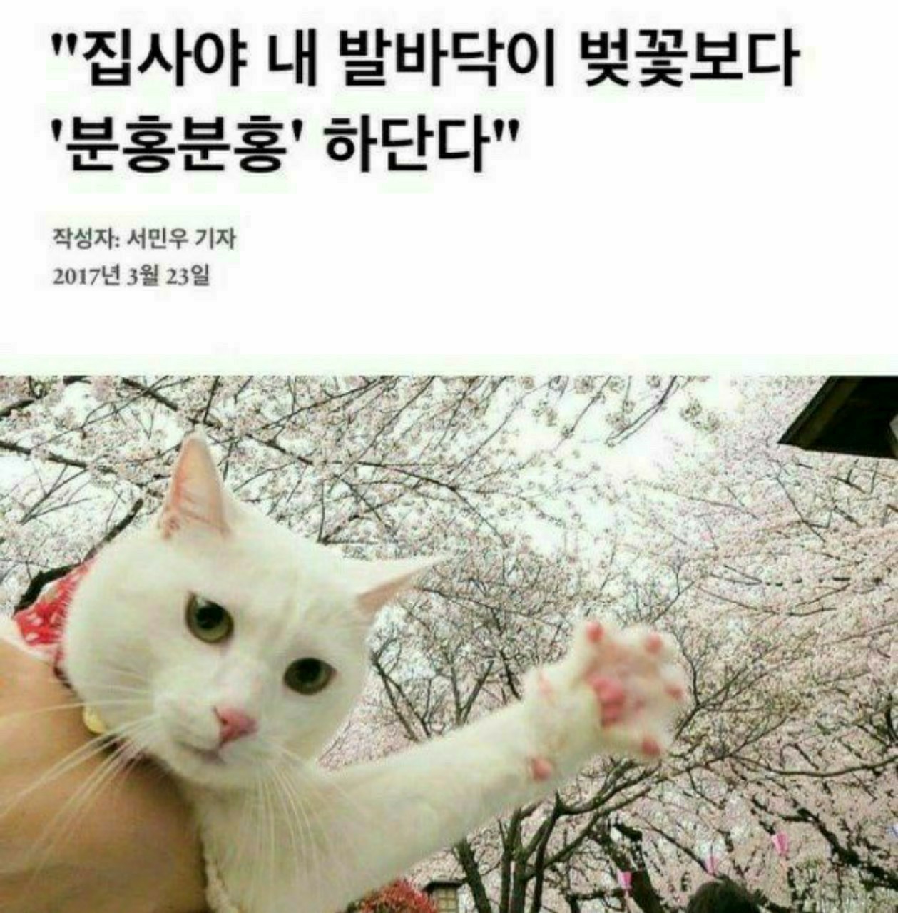 피아노