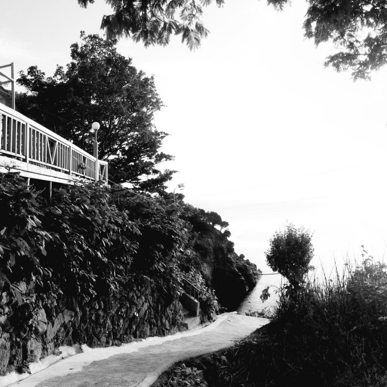 다시시작할까봐(연습중)