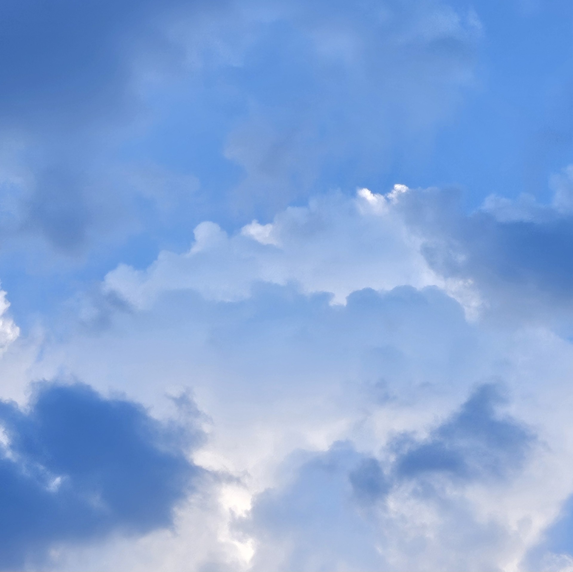 이강승 - 우리가 맞다는 대답을 할거예요