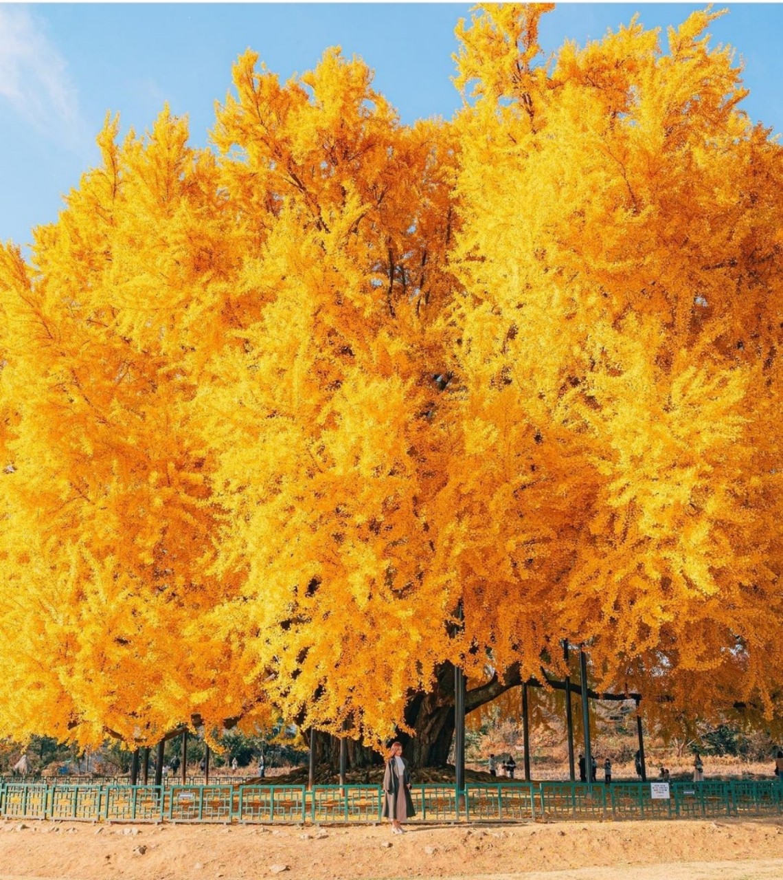 웅이의 거울 <최웅렬>