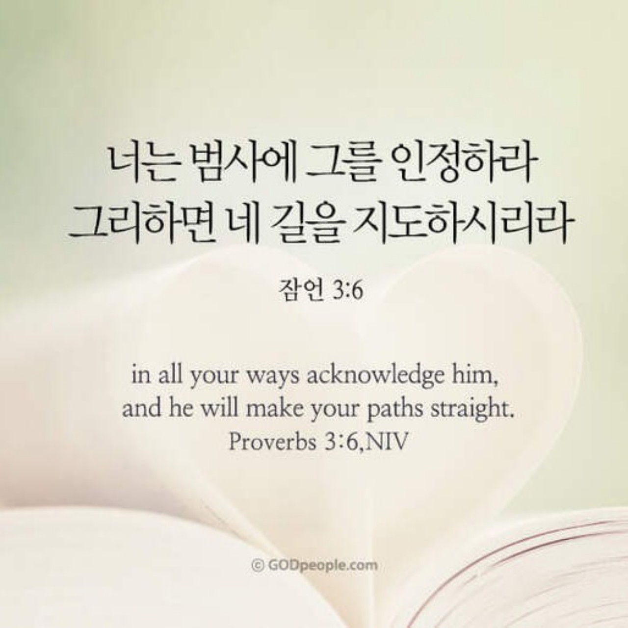 🌸잠언 3장 🌸