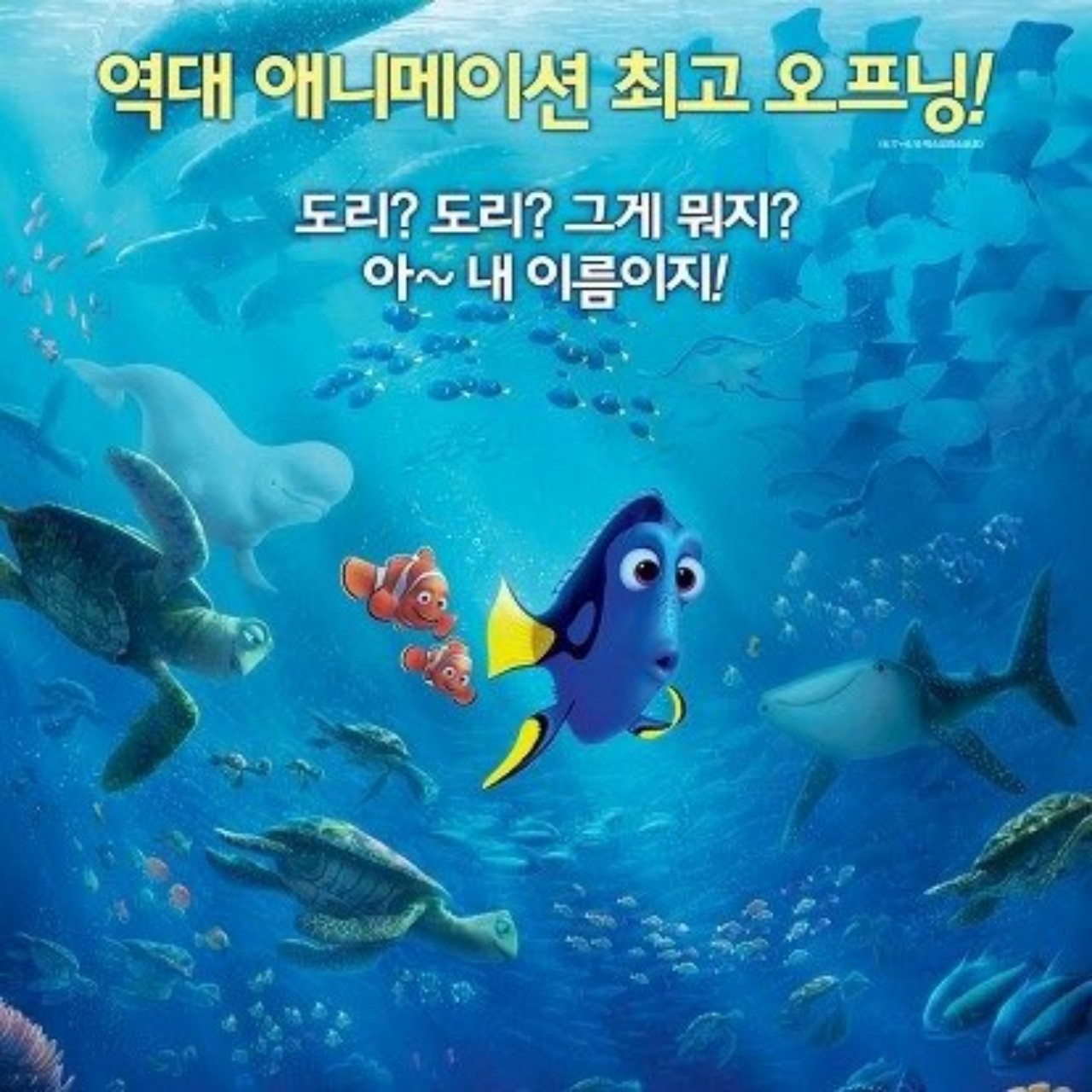 도리를 찾아서🐟