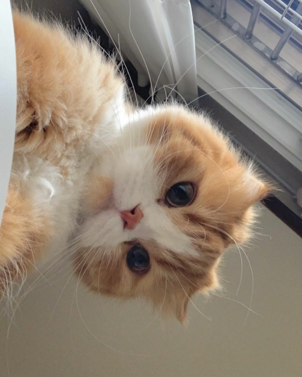 한국지리 학습지 읽을거임