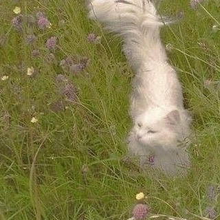 선을 그어주던가