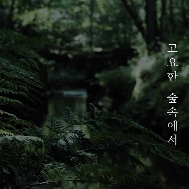 어른을 위한 수면 동화 - 고요한 숲속에서 [이타르 아델]