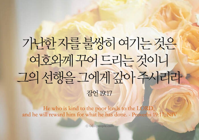 ⚘️잠언 19장 ⚘️