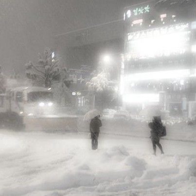 삿포로에 갈까요