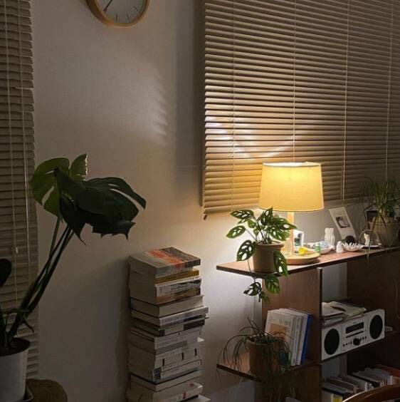 33이의 삼삼한 아지트🌙