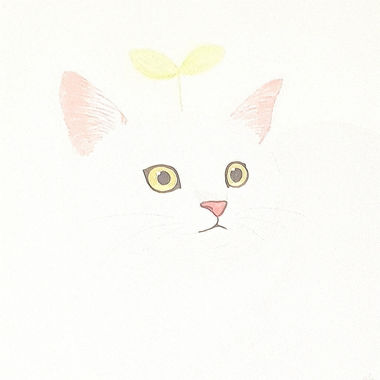 🌿민트숲의야옹이🌿🐈