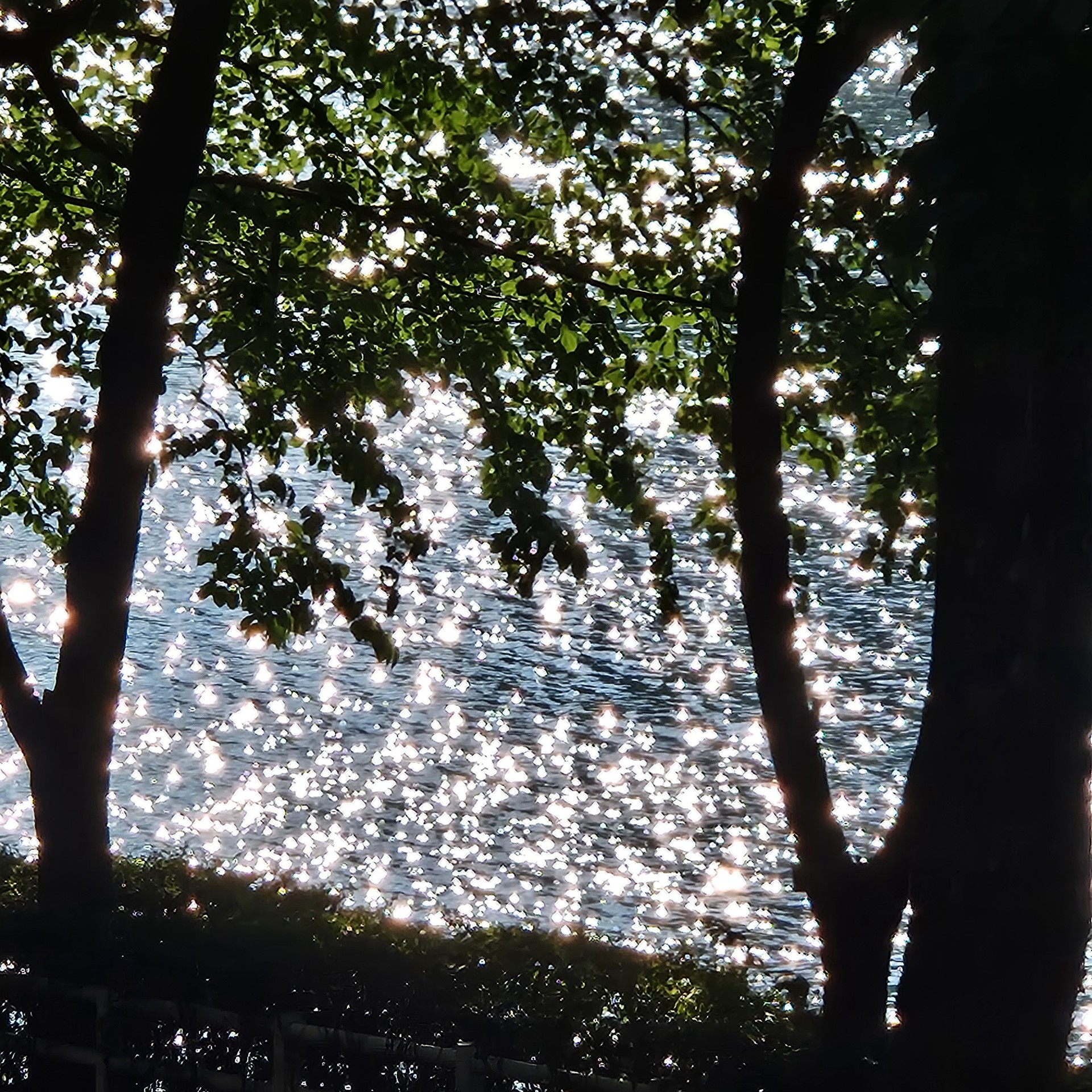 🌿 권진아 - 뭔가 잘못됐어