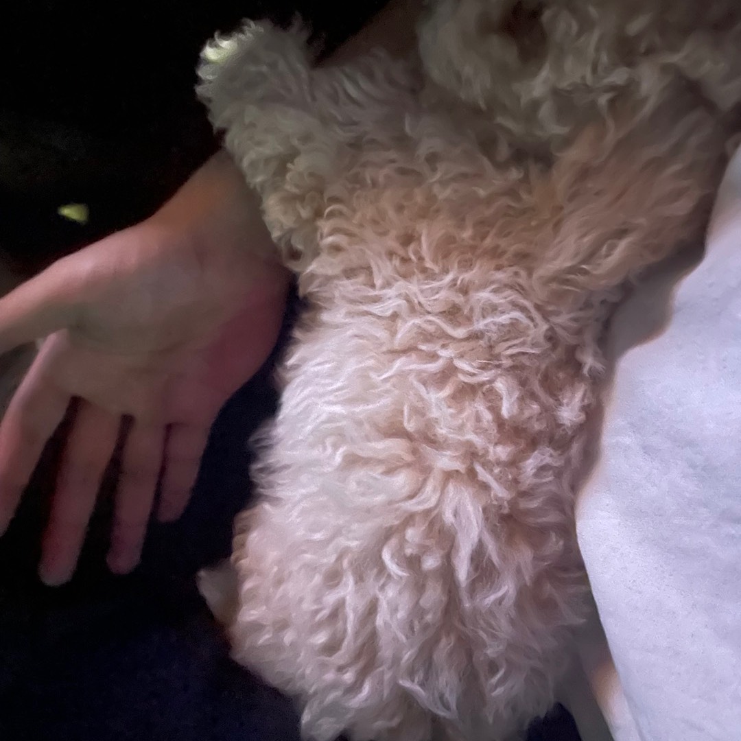 죠지 - 바라봐줘요