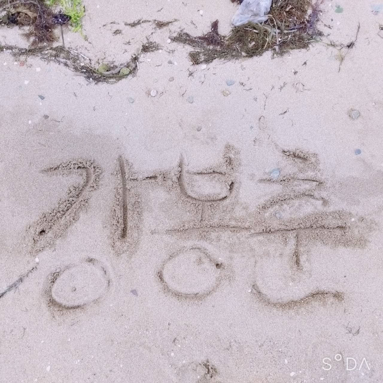 ( ⁼̴̤̆◡̶͂⁼̴̤̆ )