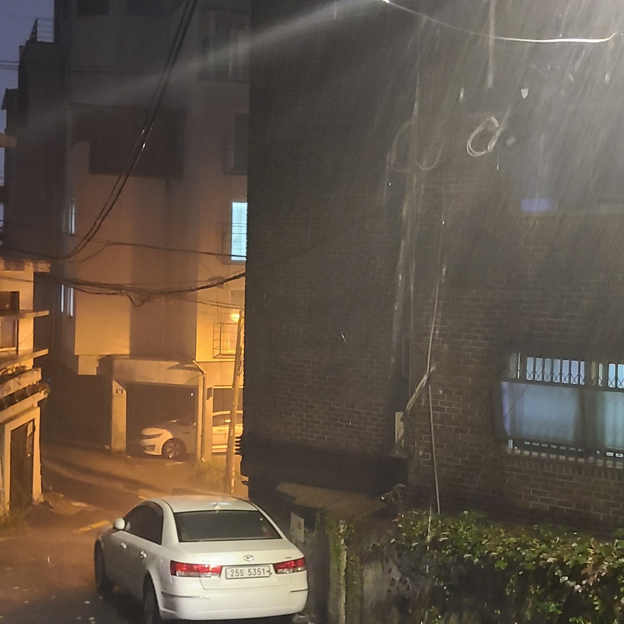 비소리