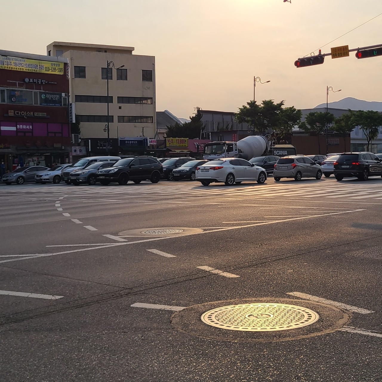 고구마