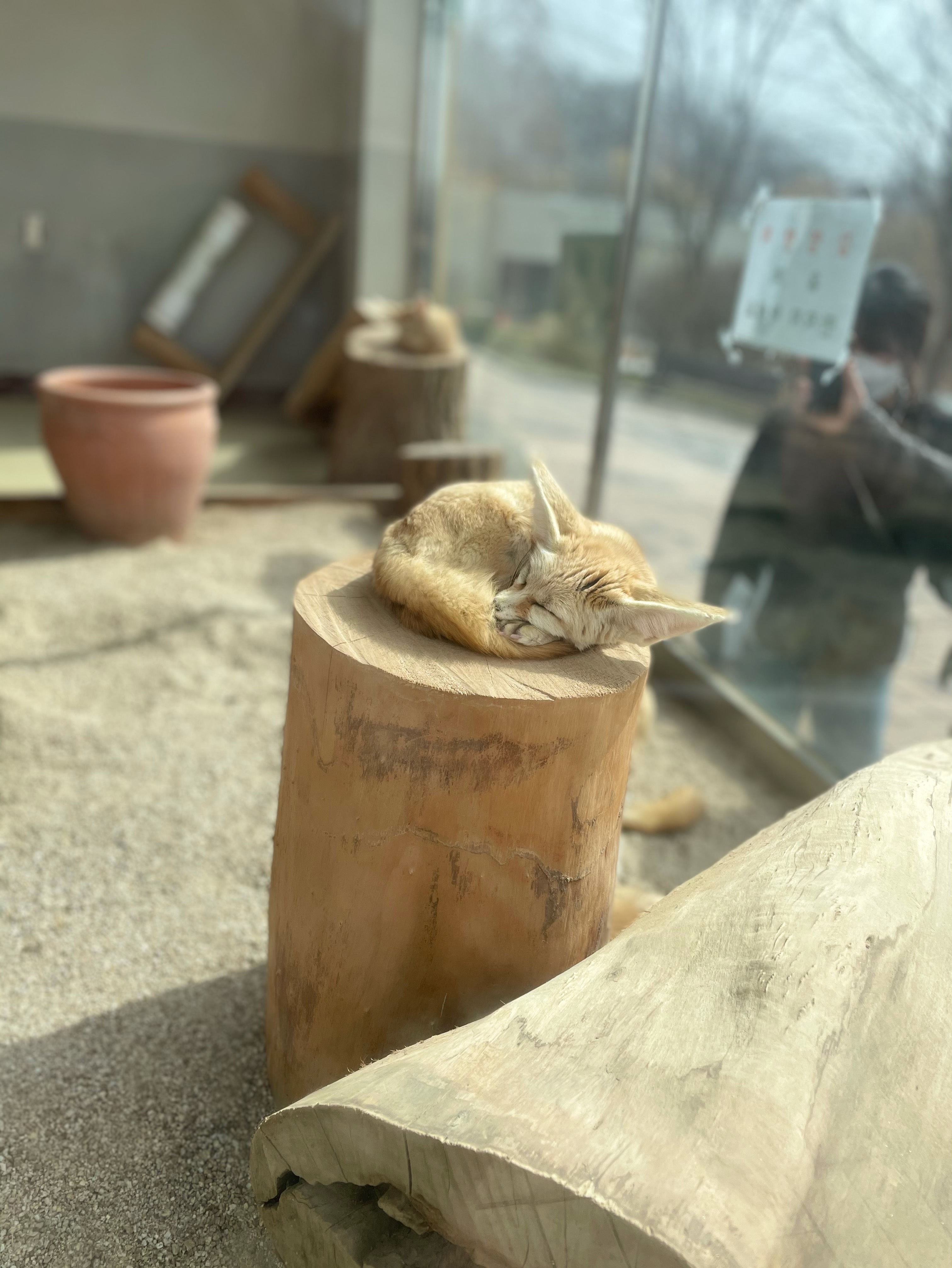 22) 다같이 놀아영