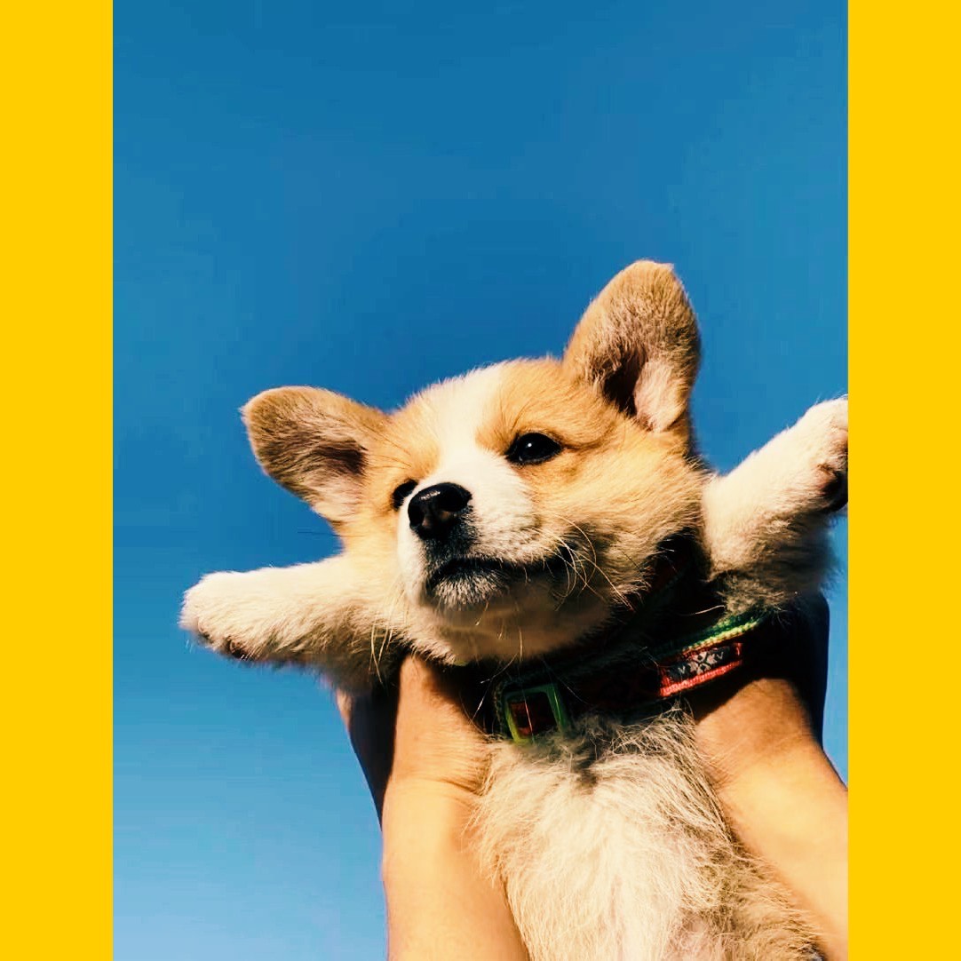 아니 근데 진짜_Lucy(커버)