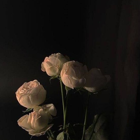 진심이 담긴 노래