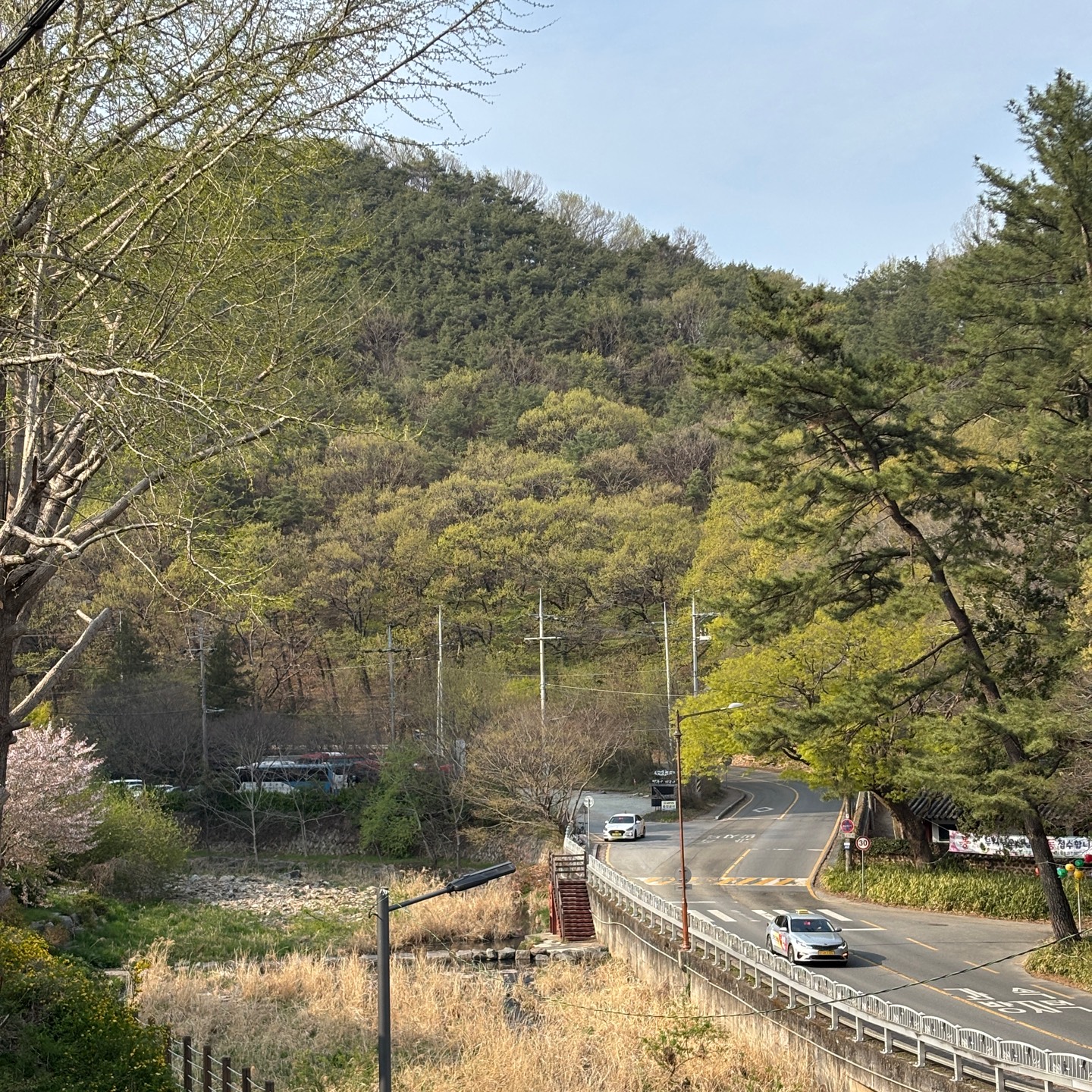 성인ADHD의 일상 ASMR