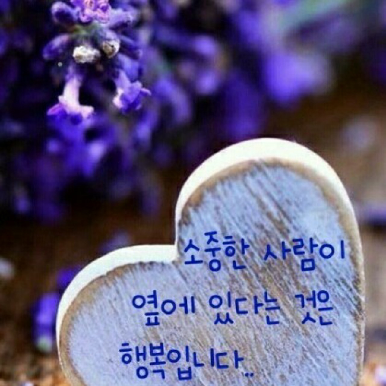 당신은 사랑받기 위해(꽃처럼ㆍ월매)