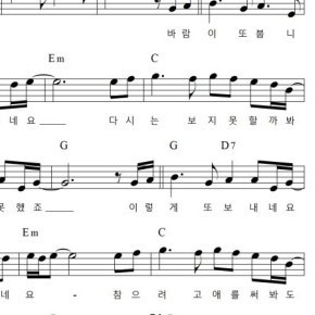 바람의소원🍉☕️