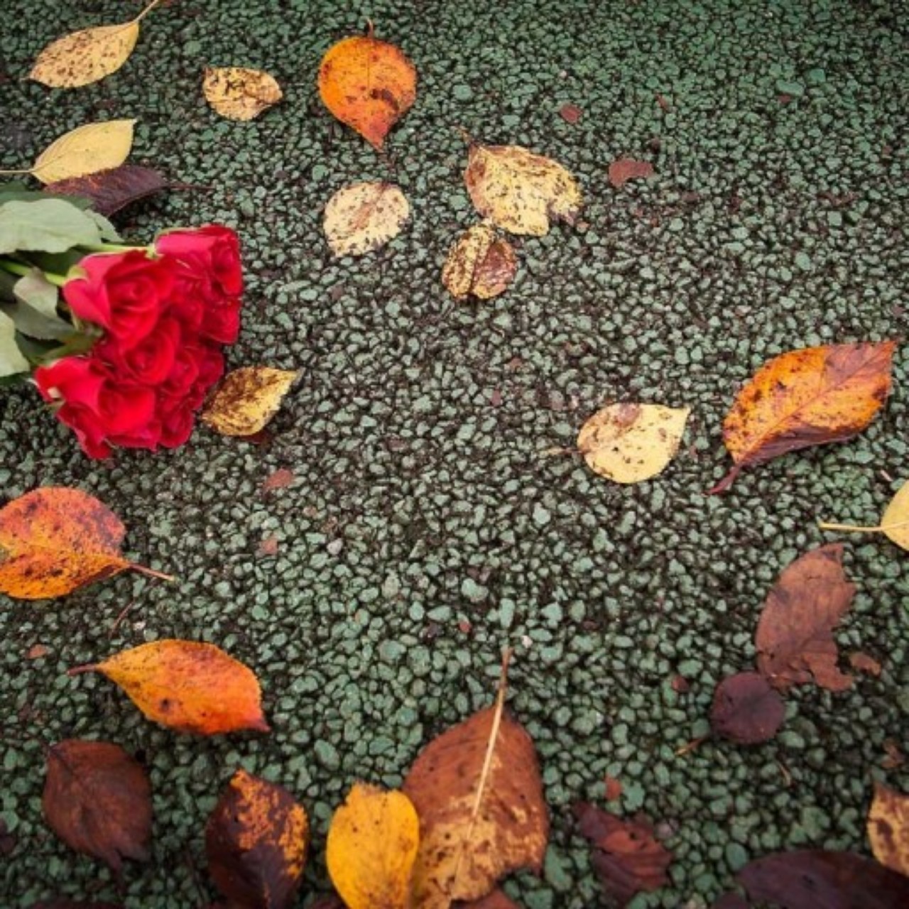 가로수그늘아래서면🍉☕