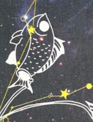 물고기자리🐟☕️