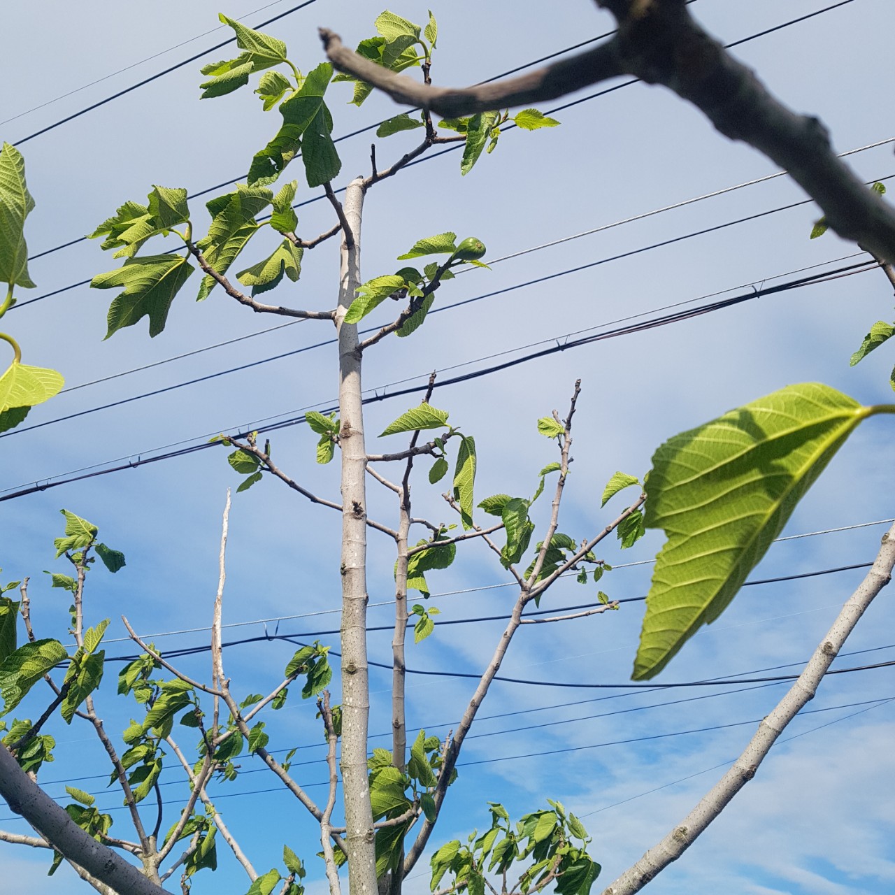 사월이 지나면 우리 헤어져요