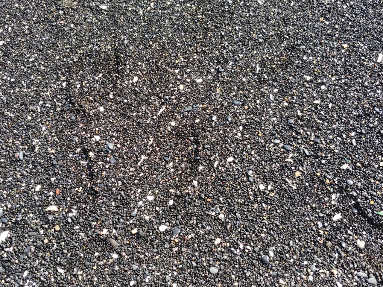 부디_심규선(Lucia)