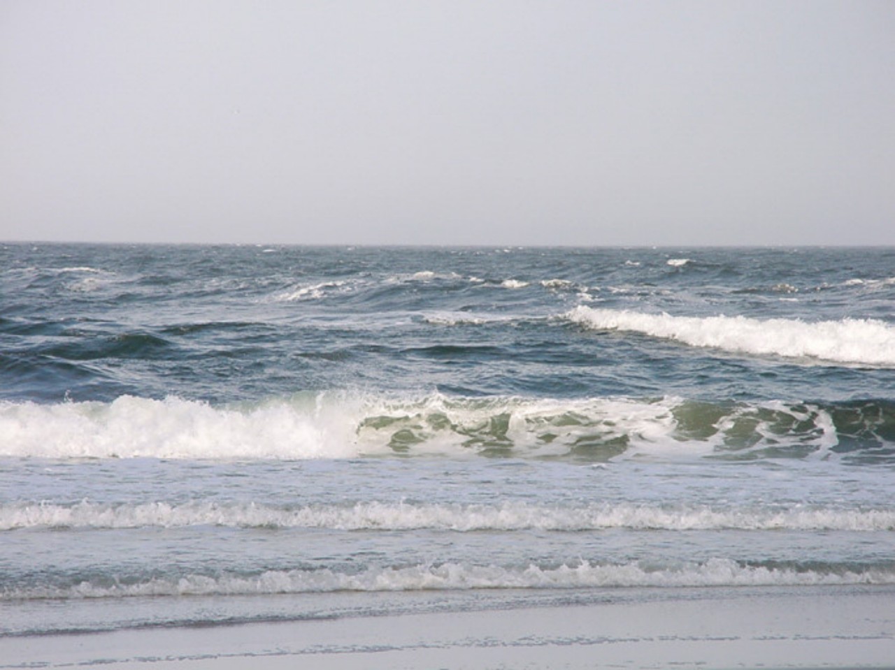 서울,대전,대구,부산☕