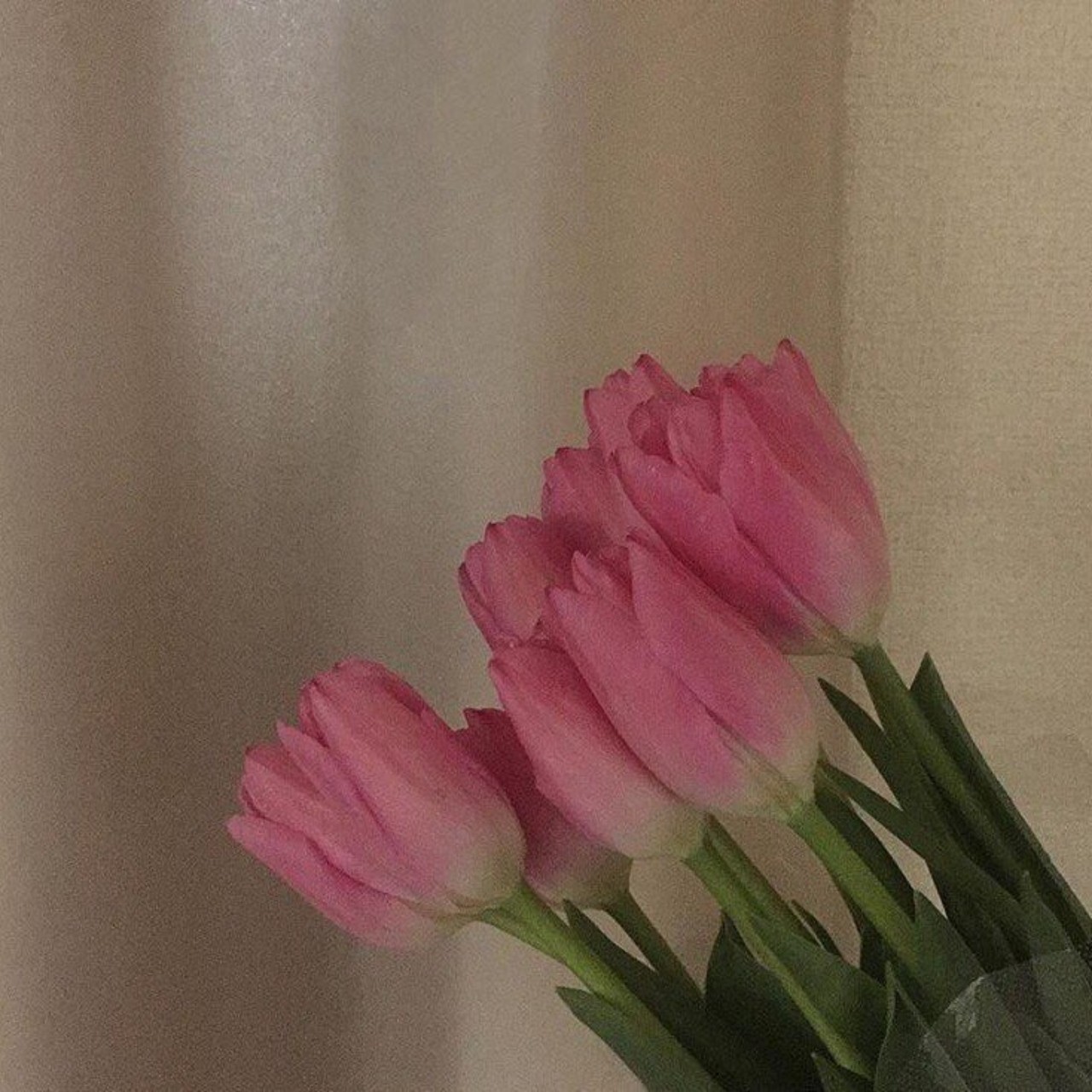 기다린 만큼, 더