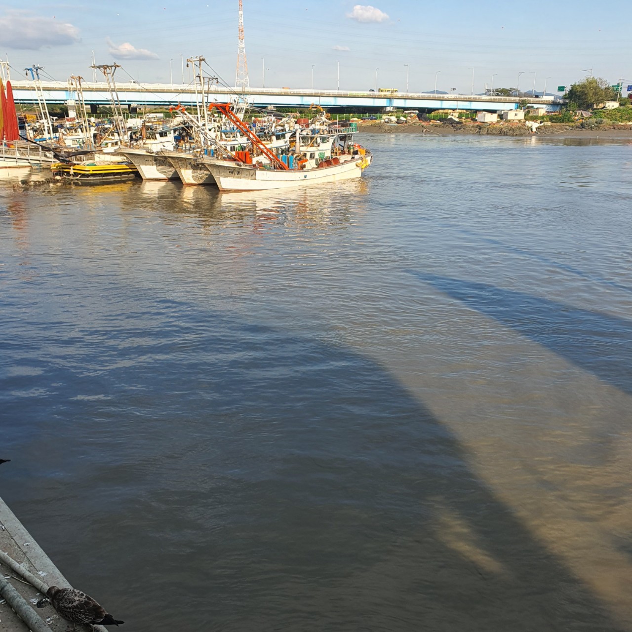 사랑한다할수있기에ㅡ꽁냥아