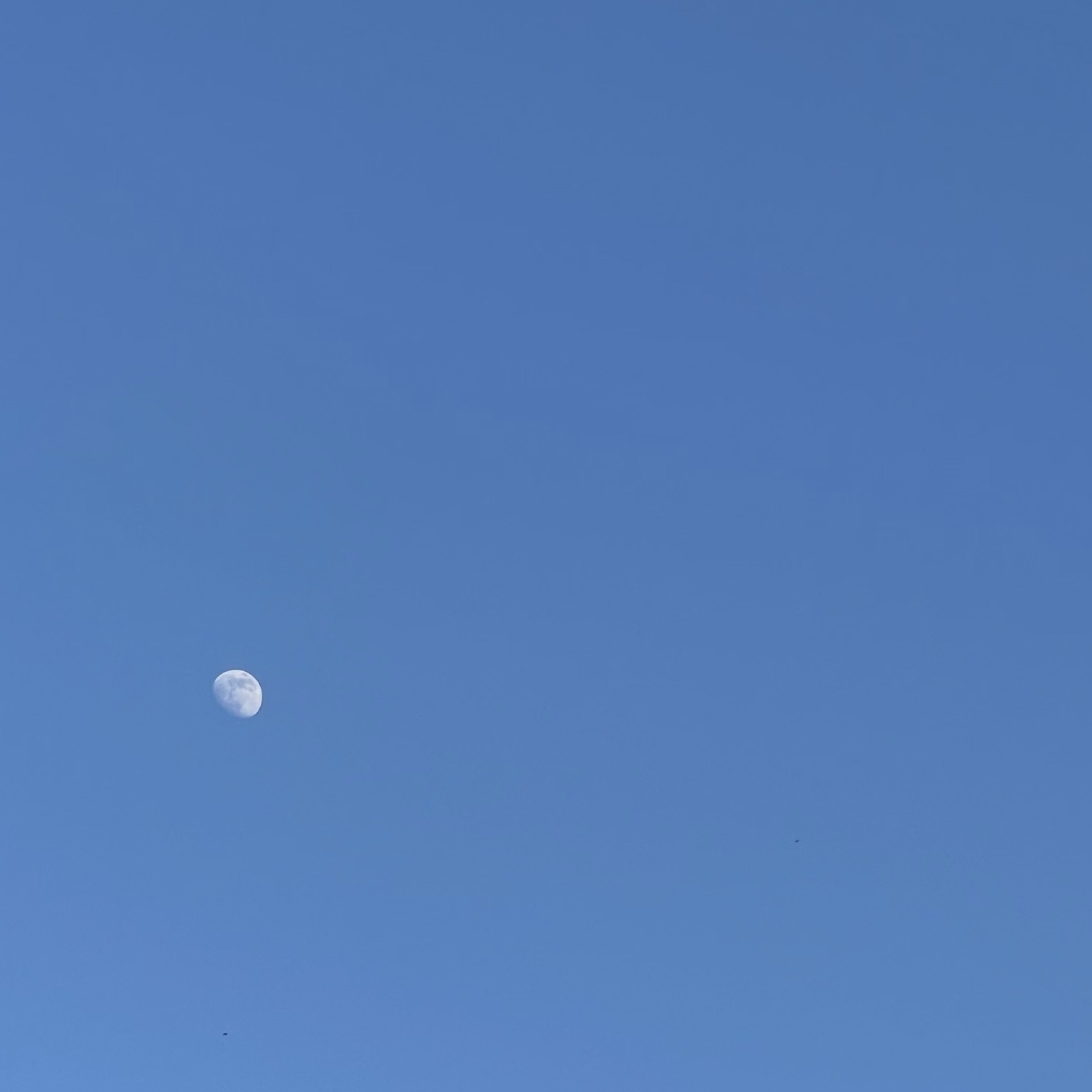 Before spring ends - piano