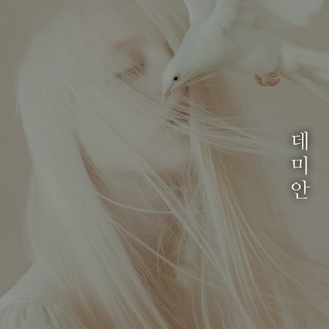 묘운☁️°⊹ 뜻밖의 서점📖 데미안 1