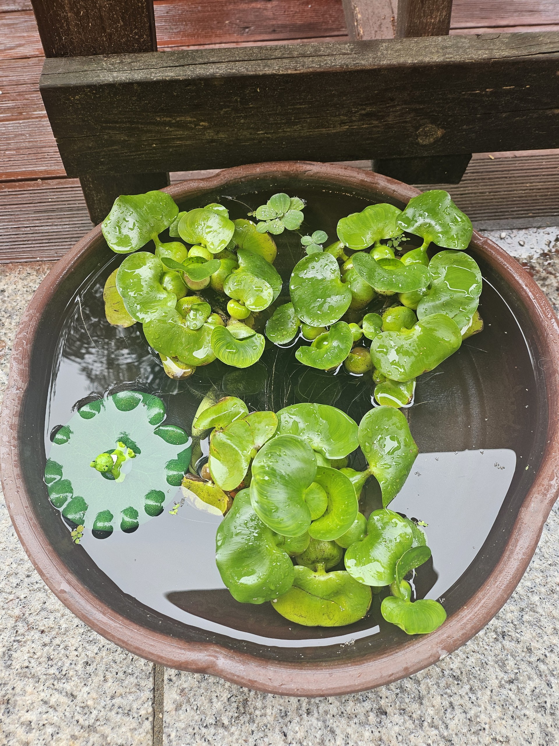 밥 먹고 합시다