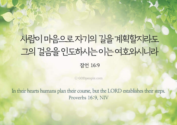 🌹잠언 16장🌹