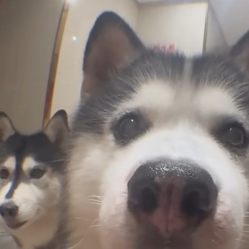 흩어지지않게 25.07.19