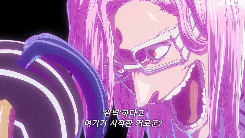 [기록] 블리치. 자엘아폴로