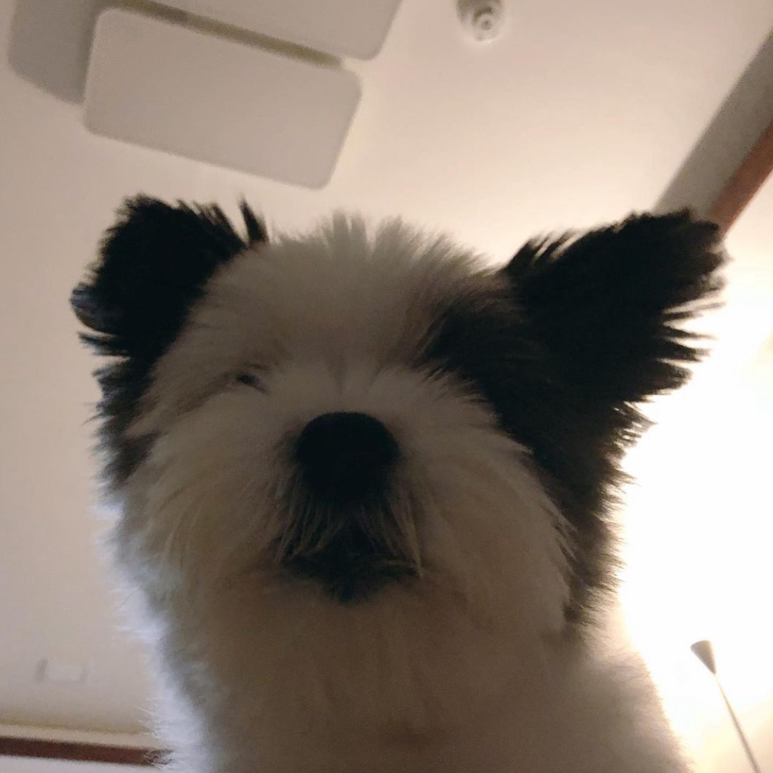 민수- 미니홈피 (cover)