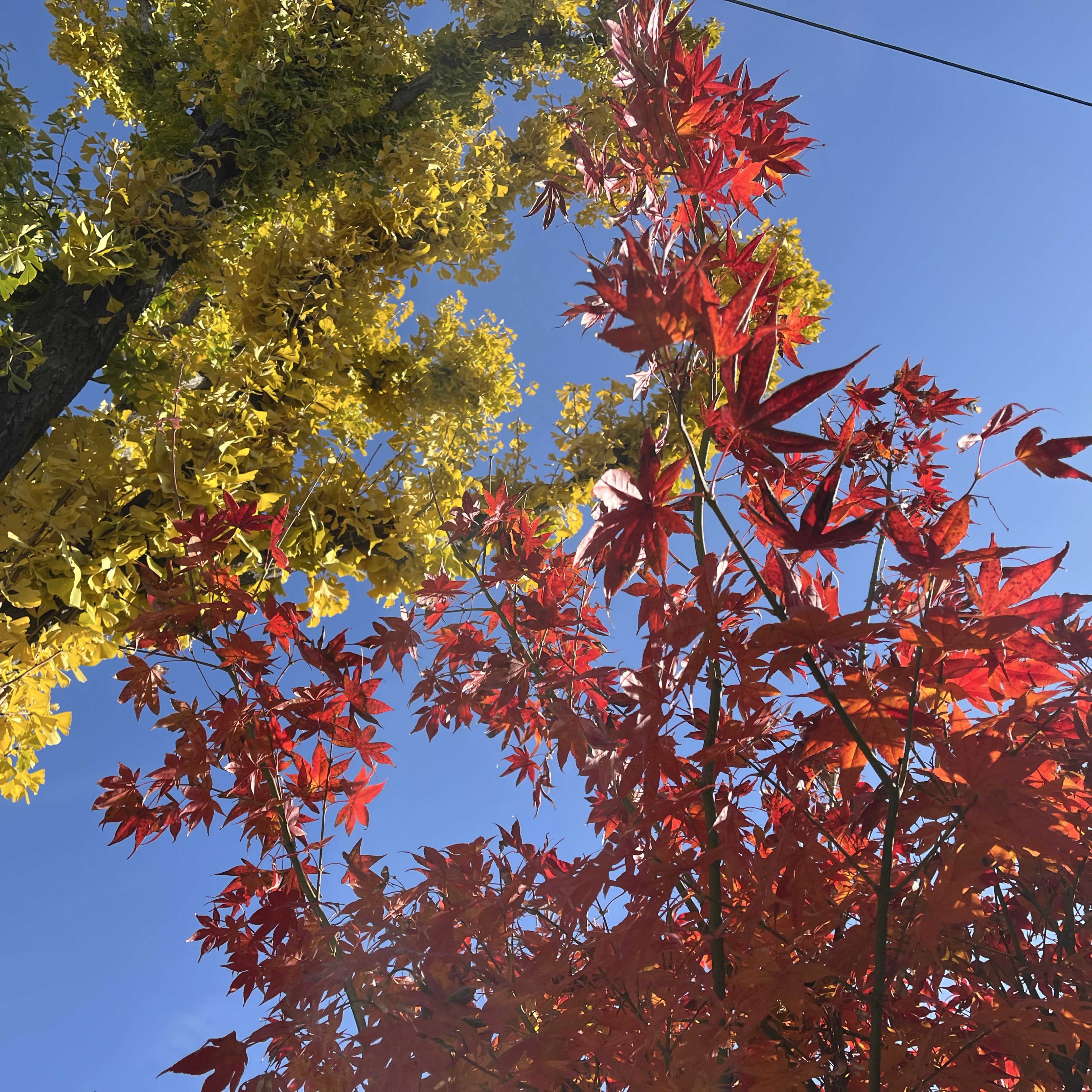 내일을 묻는다 연습 시작