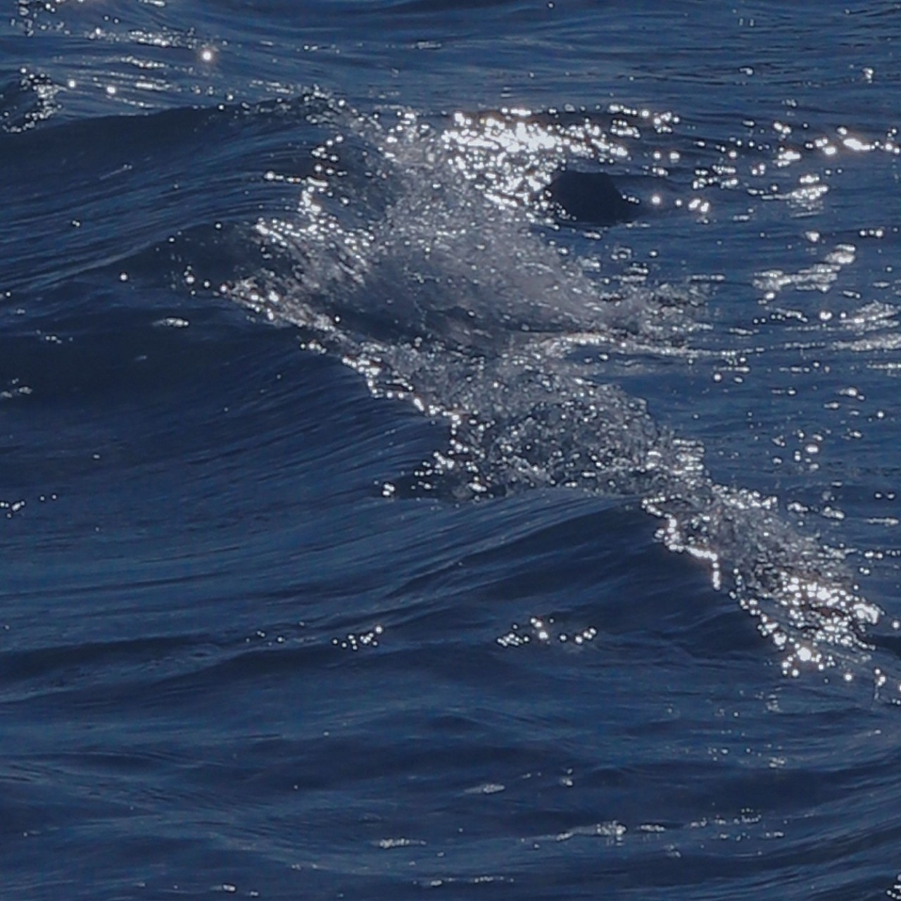 너를 위로하는 말,