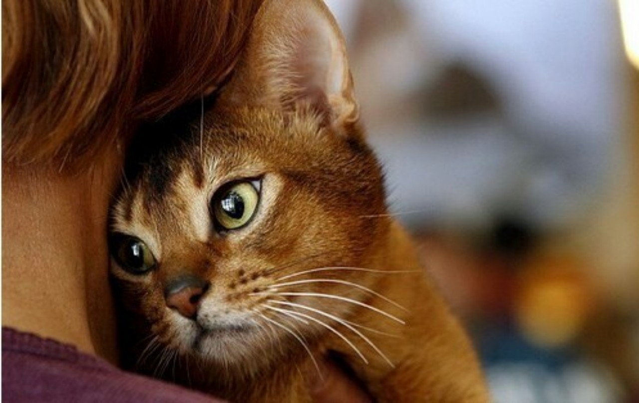 윤영아 미니데이트