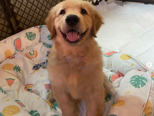 목소리 대장 ＃