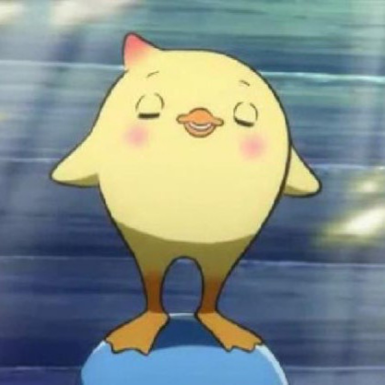 《 삐요노래 》 cover