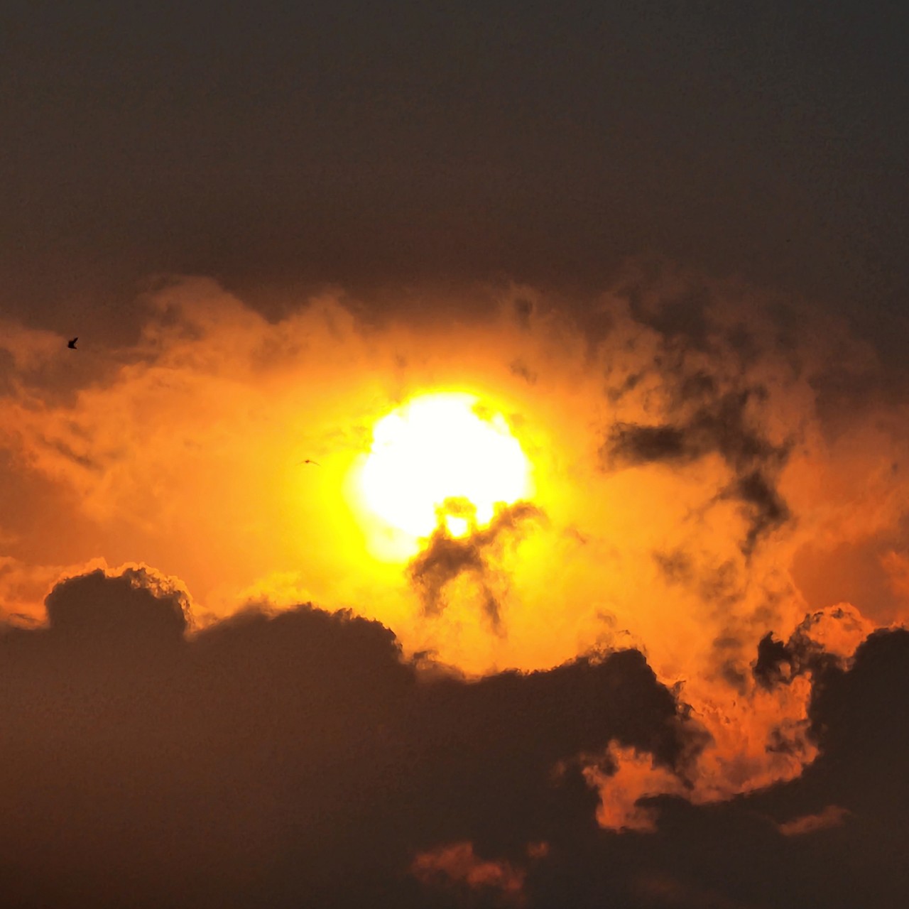 잠 안올 때 전용