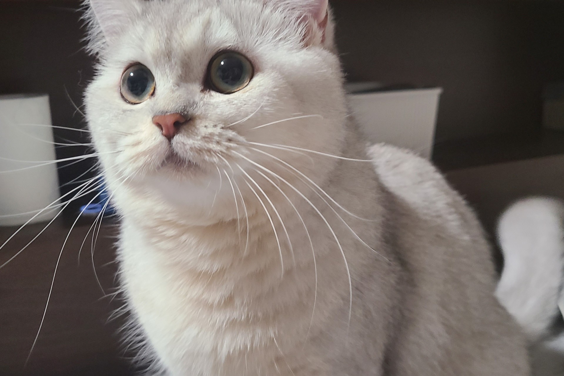 제이디 - 아프죠