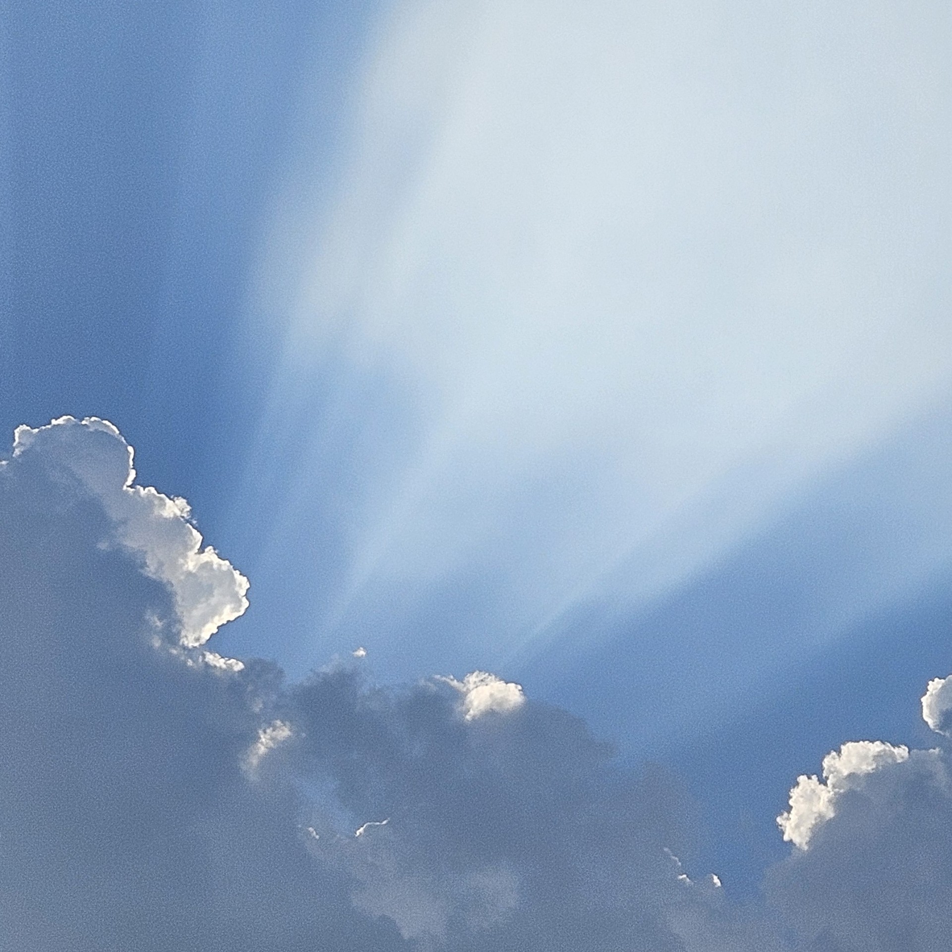 🌿 소향 - Sweet  Dreams,  My Dear