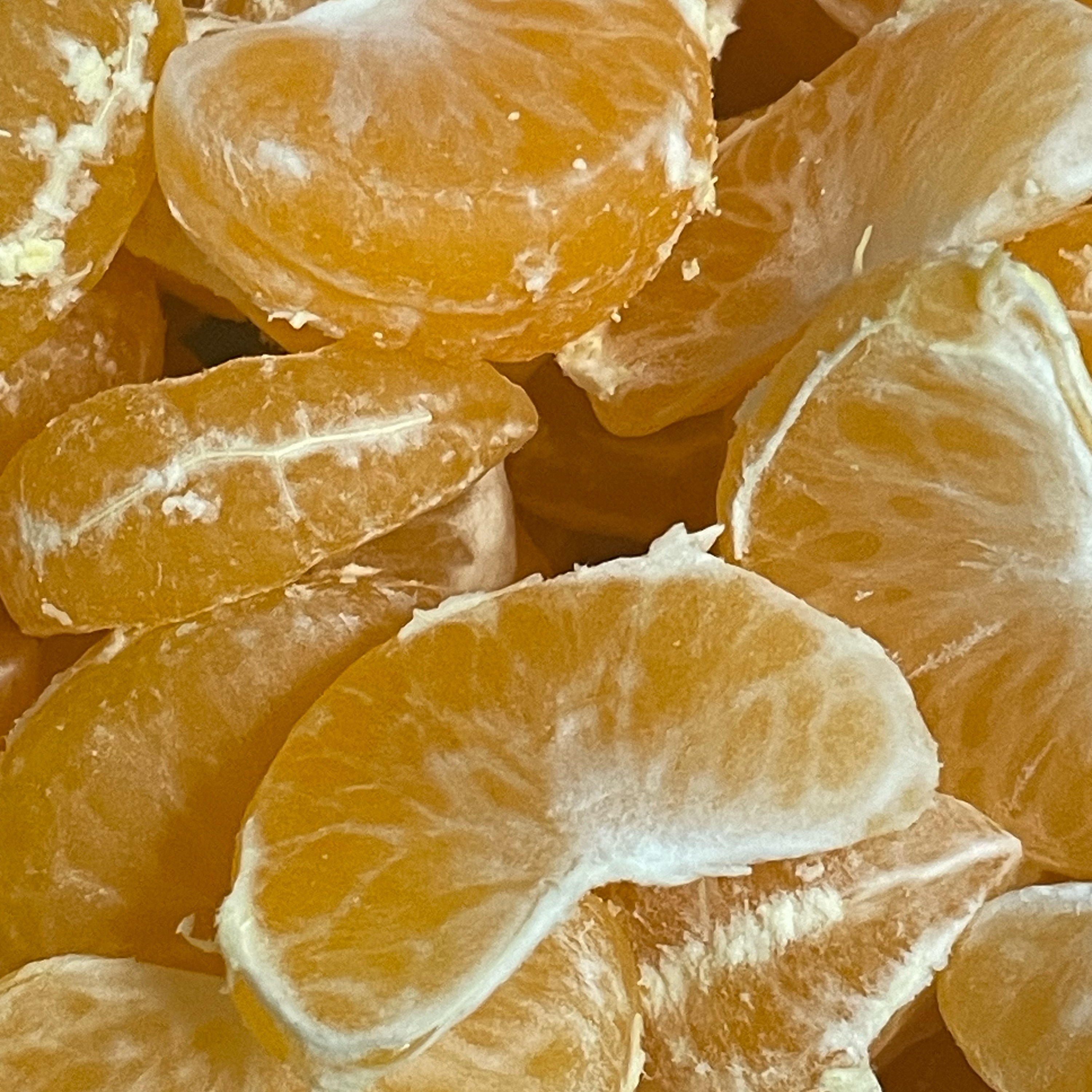 고구마 할아버지 양말 햄스터 렛츠고