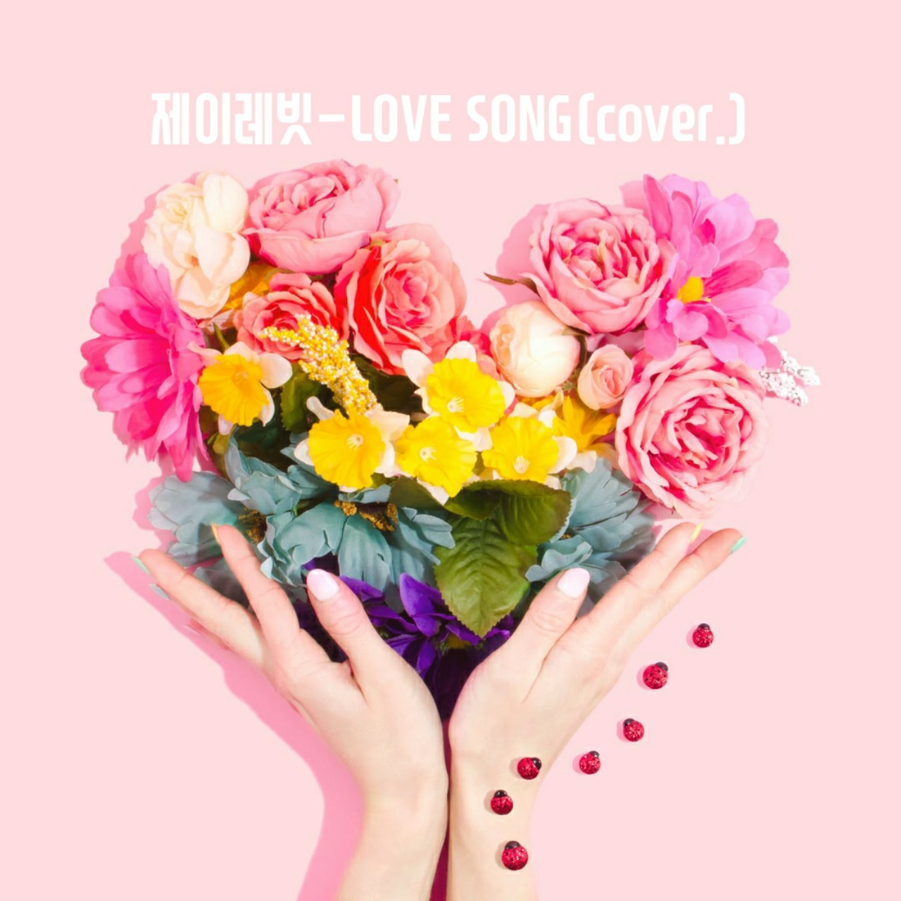 제이레빗-LOVE SONG♥️
